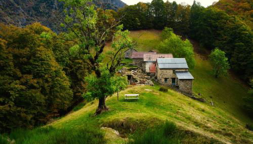 Stones and Pines - Foto 4