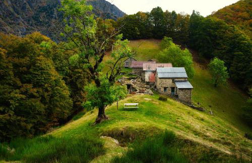 Stones and Pines - Foto 4