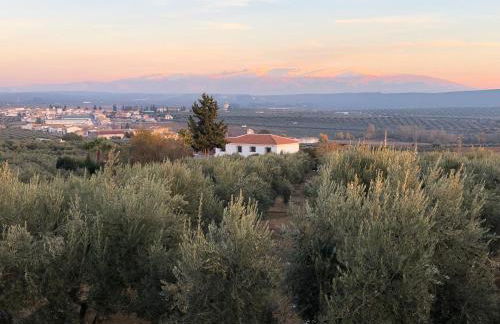 Casita of Casa Olivar - Foto 25