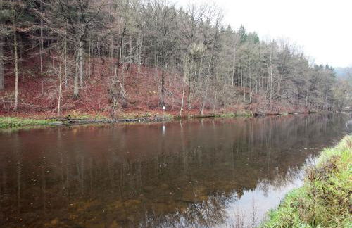 Moderne Villa in Borstendorf mit Park - Foto 24