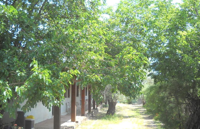 Agriturismo Su Tiresi - Foto 39