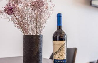 Nikolica Apartments Pelješac - Foto 21