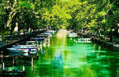 Le Studio Savoyard - Foto 20