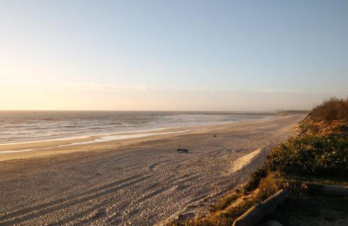 Ria de Aveiro Villa by Mycelia - Foto 68