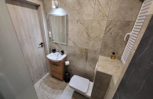 Sosnowe Wzgórze - Wypoczynek w Zagórzu Śląskim 3 - Foto 23