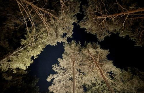 Szumiąca Sosna - Jacuzzi, Ognisko, Sauna, BBQ - Foto 34