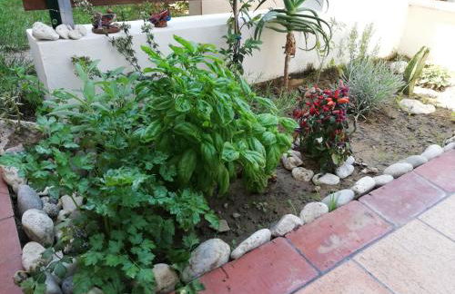 Le Torrette di Anna - Tropea - Foto 9