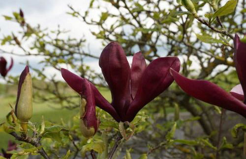 Fewo "Elsa" Reichmannsdorf - Brötchenservice - Foto 40