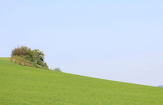 10 Person Holiday Home in Haderslev-by Traum - Foto 19