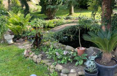 Agroturystyka nad stawami - Foto 54