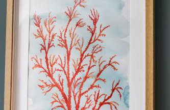 Warblers - West Wittering - Foto 32