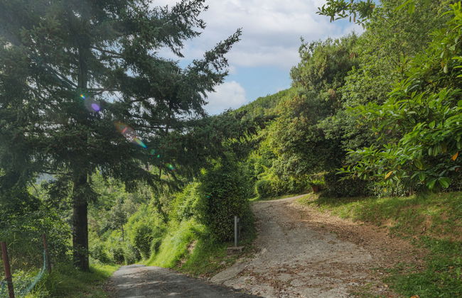 La Quercia - Foto 38