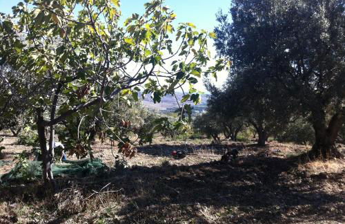 Agriturismo Petrara - Foto 35