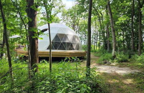 Bunny Bungalow Romantic Getaway in a Spacious Geodome - Foto 22
