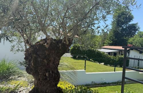 Maison individuelle contemporaine avec piscine - Foto 19