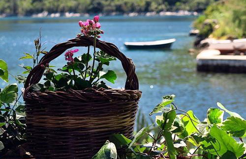 Apartments Vera - Comfort One-Bedroom Apartment with Terrace and Sea View Irena - Foto 16