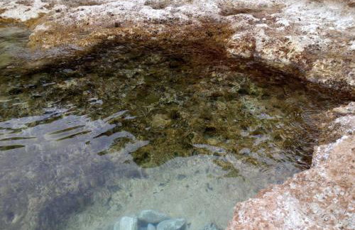 Belle Hélène - Foto 57