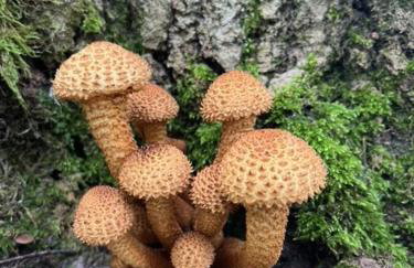 Przystanek Prawdowo - Foto 30