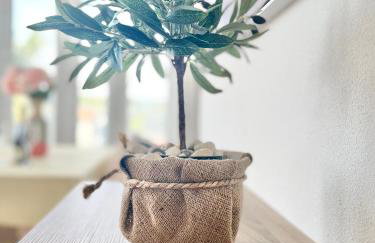 Apartments Vukancic - Foto 43