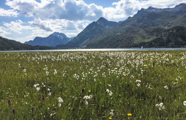 Casa La Planüra - Foto 34