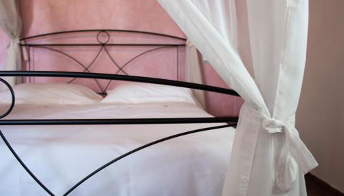 Fattoria L'Olmetto - Foto 5