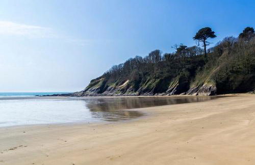 Cornwall Log Burner no cleaning fee - Foto 9