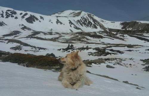 Xalet de muntanya en Parc Natural a 2000 metres - Foto 34