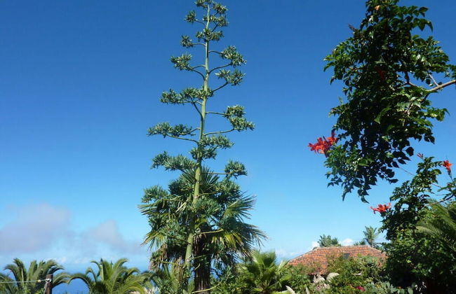 Holiday Home Finca - Foto 9