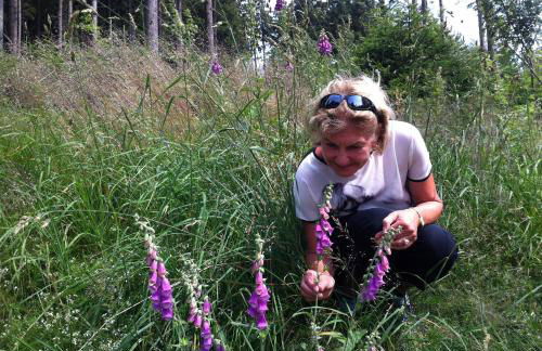 Landhaus am Rennweg - Foto 14