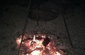 Funny-Farm - Foto 34