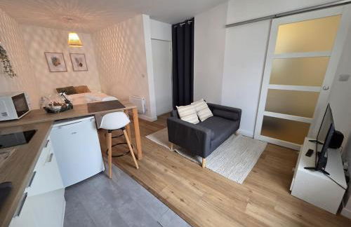 Le Timon - large studio avec Wi-Fi - Foto 9