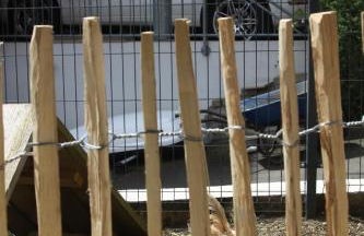 s'Lena Häusle - Foto 29