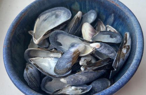 The Moorings - Just a few metres from the sea! - Photo 28