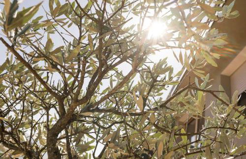 Residence Aqualis - Foto 76