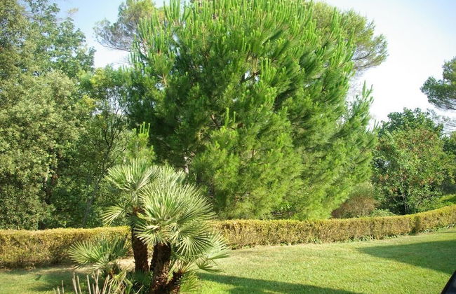 Domaine les Cigales - Foto 37