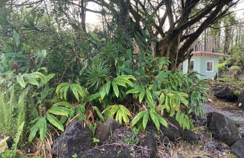 Majestic Banya tree cabin - Foto 23