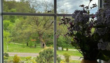 Apartament dwuosobowy Stary dąb - Foto 5, Garden, Garden view