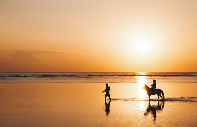 Coral Villa - Luxury Beachfront Villa with Private Pool by Karula - Foto 41