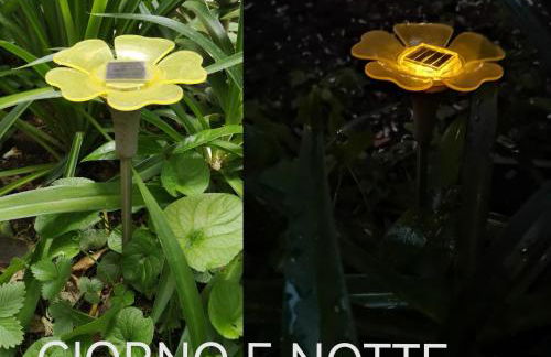 il giardino di frida - Foto 18