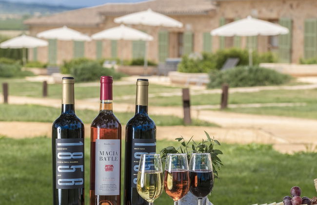 Hotel Sa Franquesa Nova - Foto 66