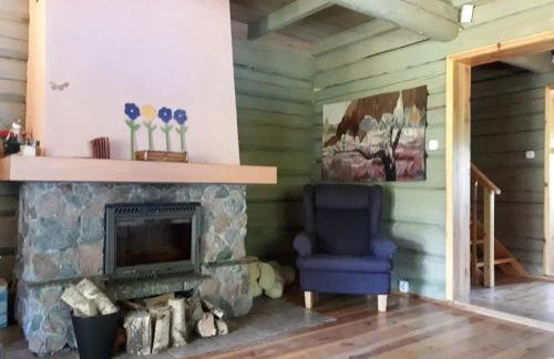 Zielony Dom na Mazurach - Foto 8