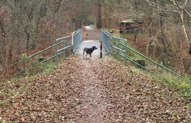 Ferienhaus mit Seeblick - Photo 24