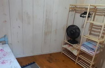 Casa quatro patas - Photo 11