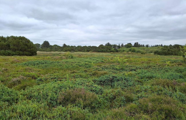 Idyllic Danish Farmhouse Retreat-by Traum - Foto 10