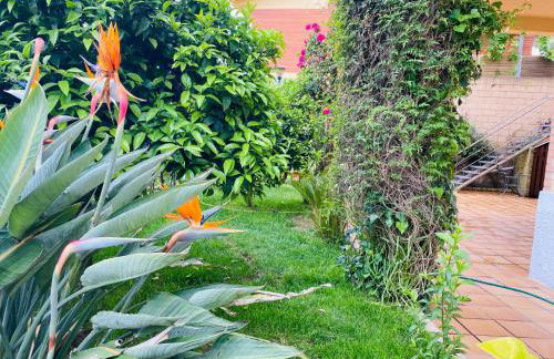 Apartamento Mar y Montaña - Foto 18