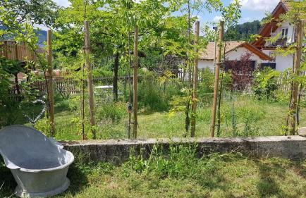 Historisches Fachwerkhaus "Hoher Hirschen" mit romantischem Hof und Garten - Charmantes Studio und grosses, museales Apartment - Foto 29