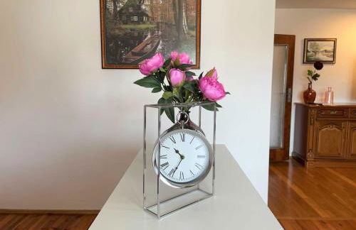 Heidehummel - Foto 8