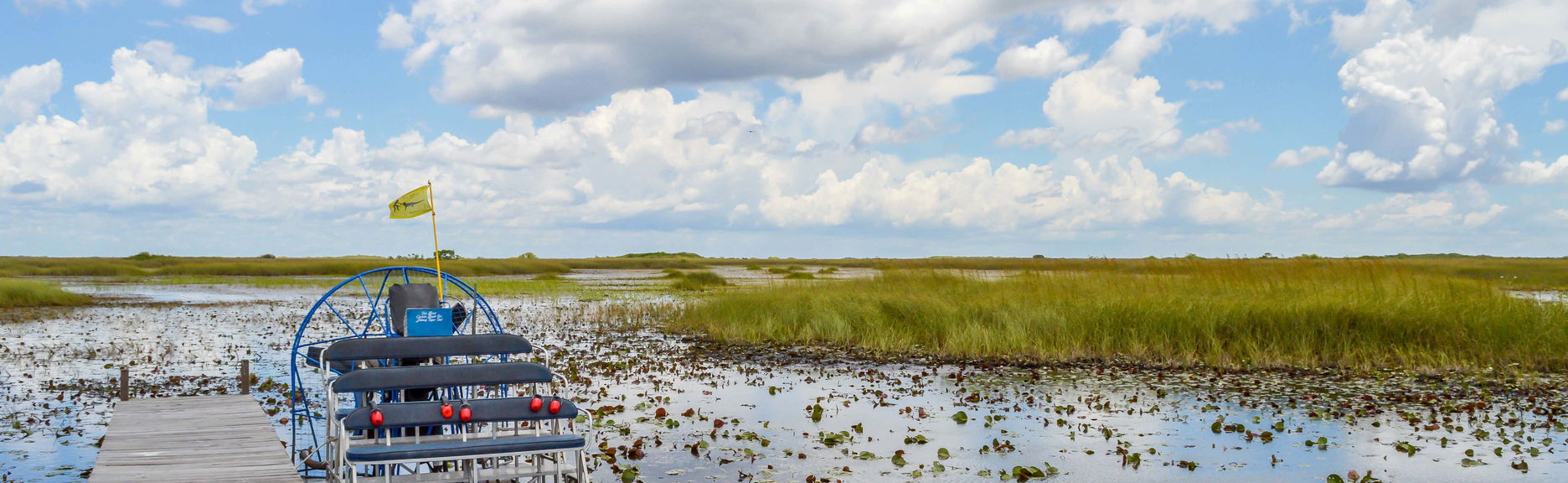 Escursione alle Everglades