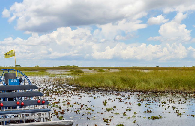 Excursão aos Everglades - Foto 1