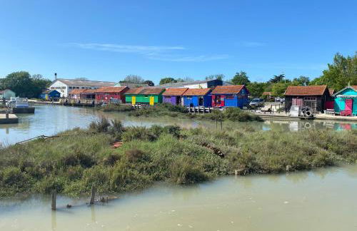 La Fleur des Marais - Maison tout confort au calme, grand jardin & balançoire - Foto 42